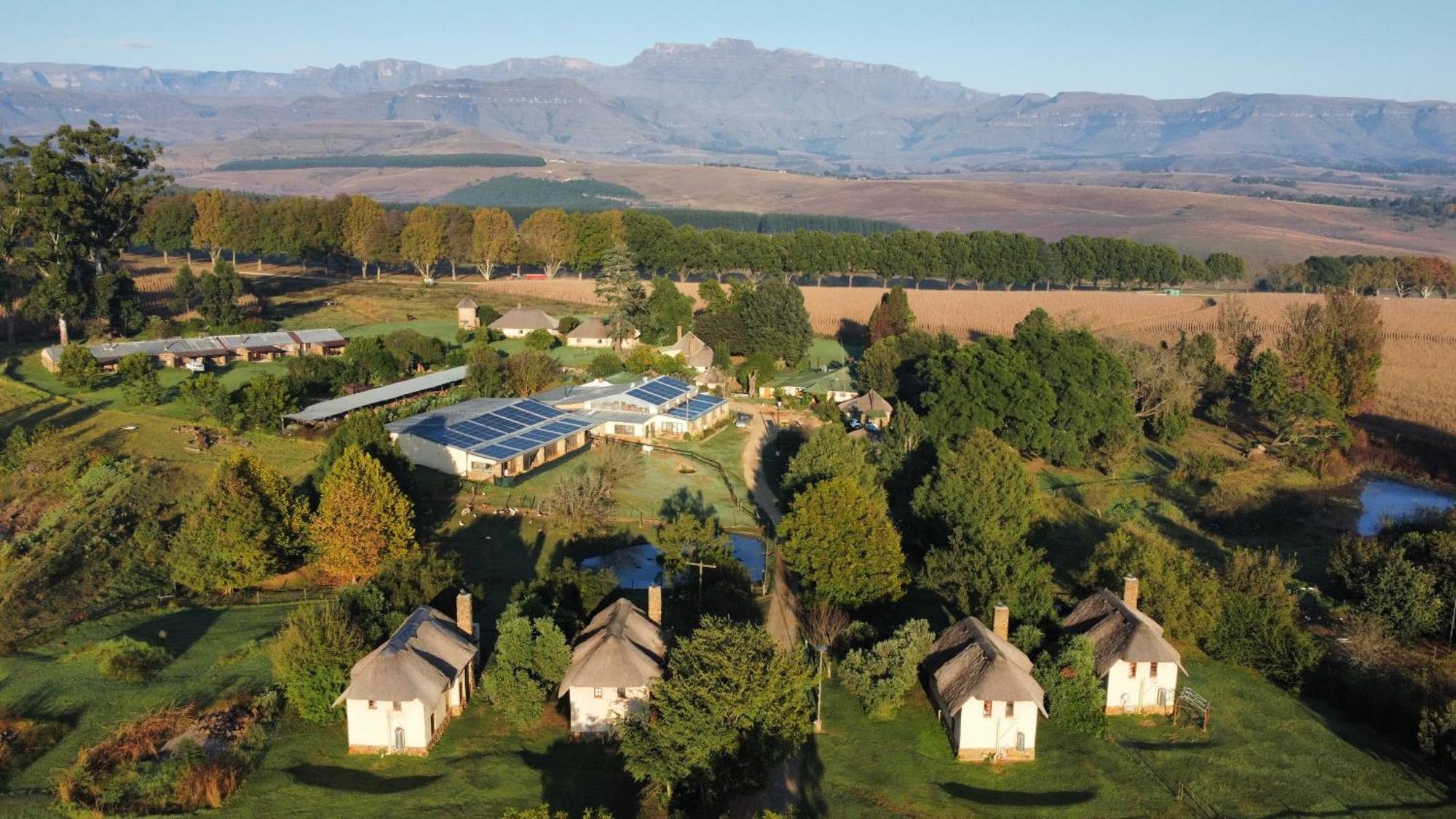 Ardmore Guest Farm Champagne Valley Zewnętrze zdjęcie